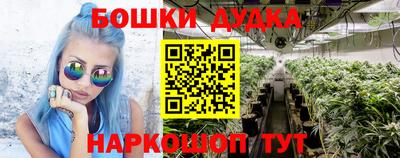 прущие грибы Комсомольск-на-Амуре