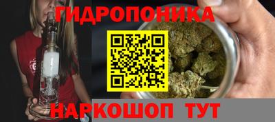 сатива Коммунар