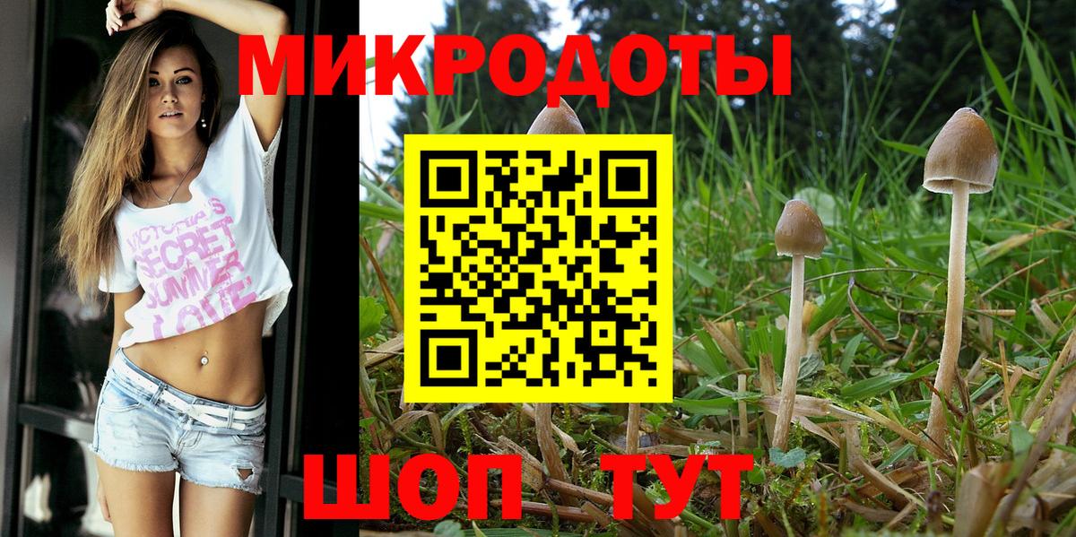 Псилоцибиновые грибы Psilocybine cubensis  Корсаков 