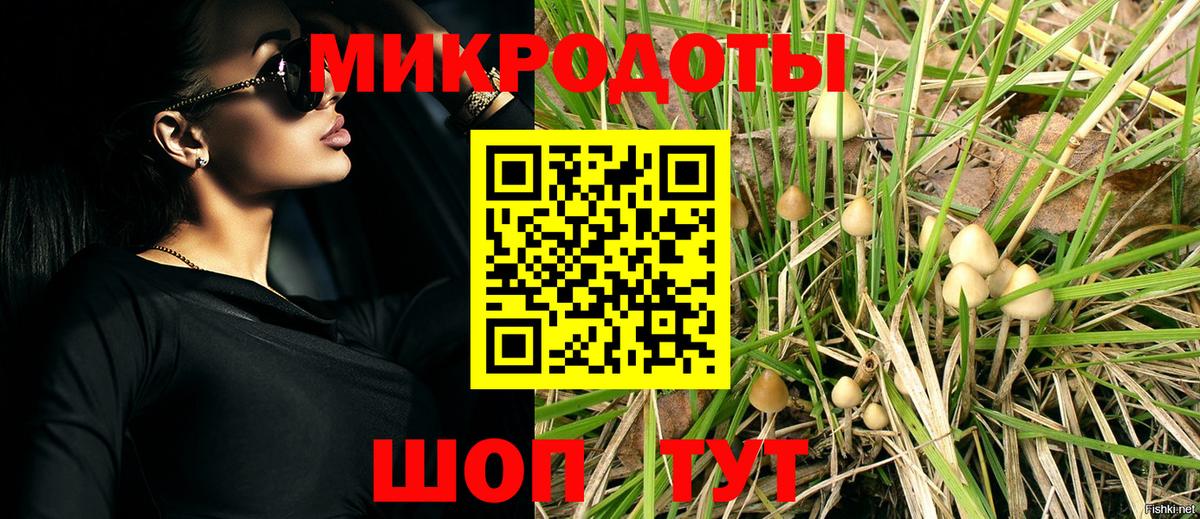 Псилоцибиновые грибы GOLDEN TEACHER Корсаков