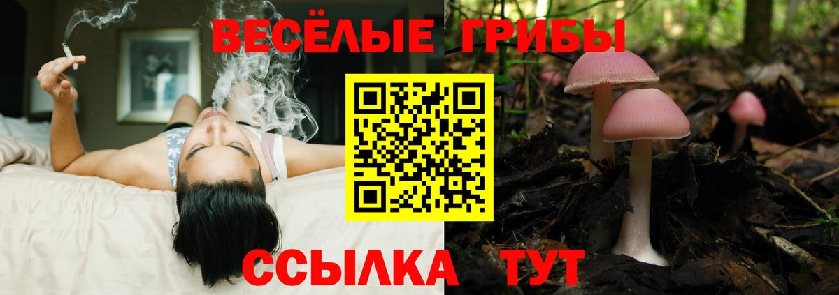 Корсаков  Псилоцибиновые грибы Cubensis  дарнет шоп  Вход с VPN 